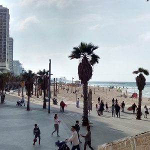 travel-story-israel-geonutrition